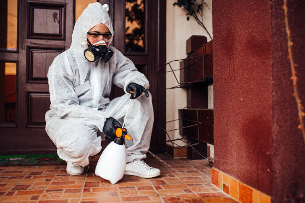 Reliable Cockroach Control contractor in Fergus Falls, MN by Nex Pest Control